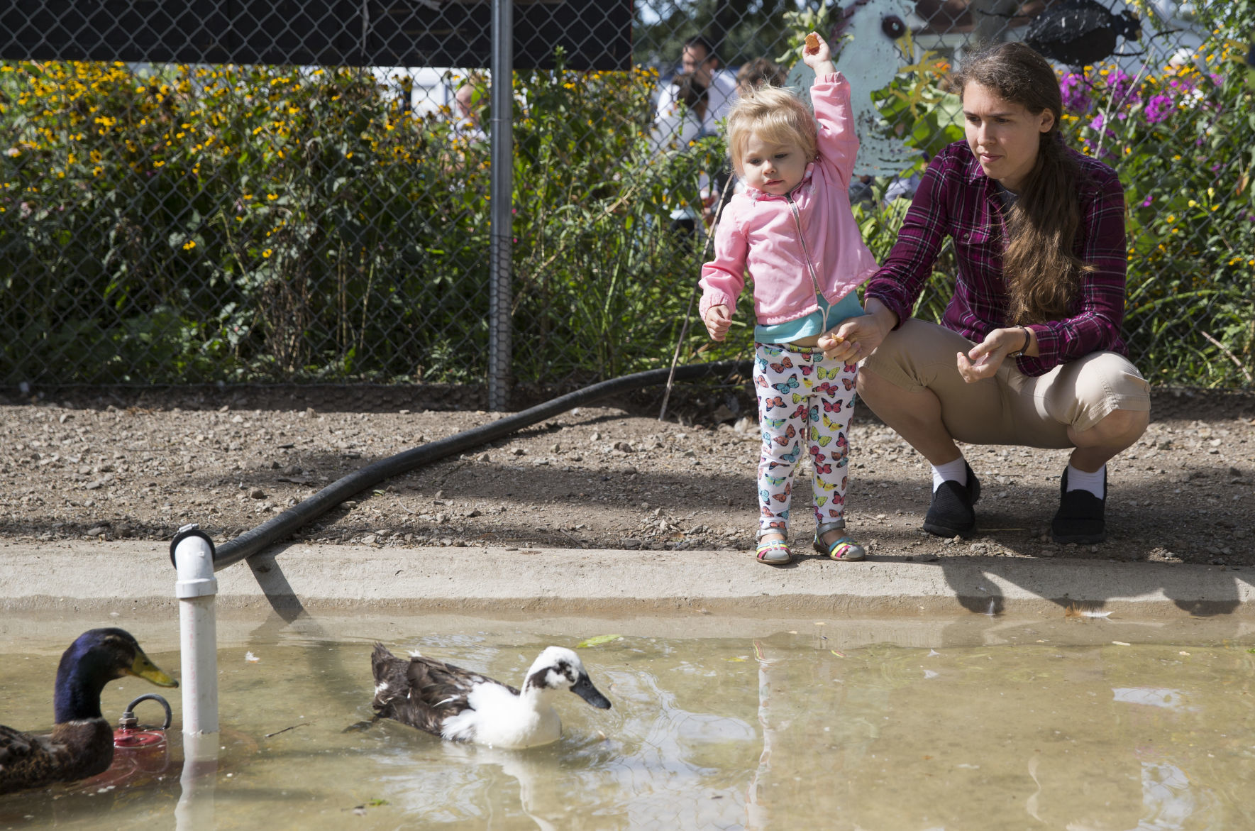 082419kw-petting-zoo-04